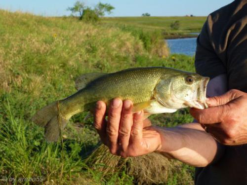 SD13_0722_024956_0047