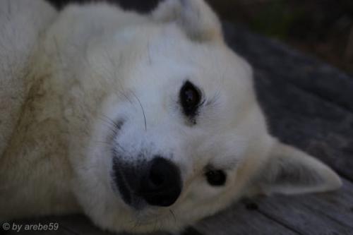 SD13_0722_171019_0191