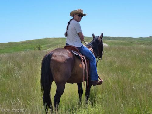 SD_2015-07-19-20-25-42_0002