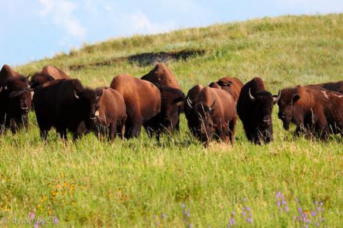 SD_2015-07-20-01-11-39_0008