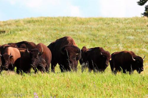 SD_2015-07-20-01-11-53_0014