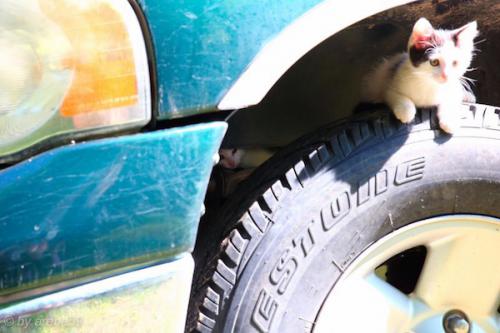 SD_2015-07-22-18-00-49_0012