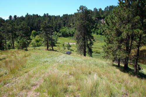 SD_2015-07-23-18-55-07_0003