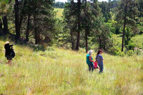 SD_2015-07-23-18-55-20_0005