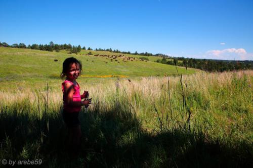 SD_2015-07-23-22-48-40_0006