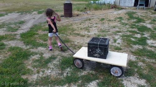 SD_2015-07-25-21-52-38_0013