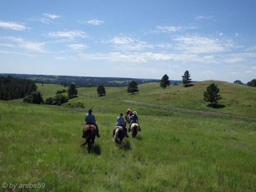 SD_2015-07-26-19-53-52_0004