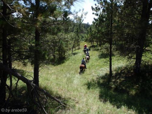 SD_2015-07-26-21-09-32_0010