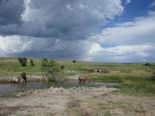 SD_2015-07-27-00-06-23_0004