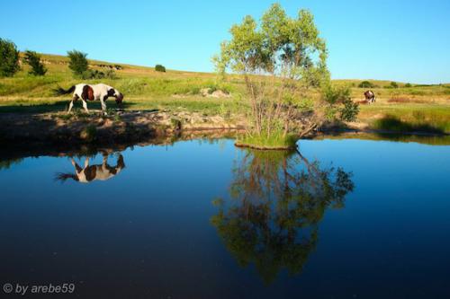 SD_2015-07-30-02-58-28_0019