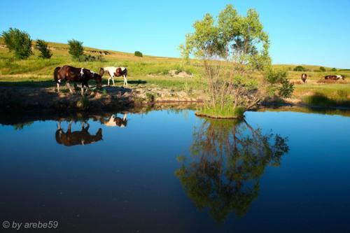 SD_2015-07-30-02-58-34_0021