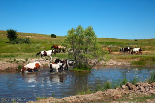 SD_2015-07-30-23-16-00_0040