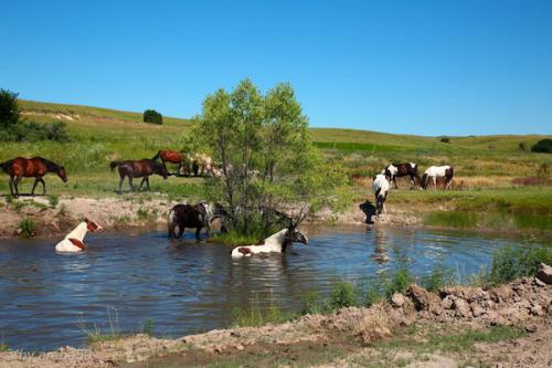 SD_2015-07-30-23-16-25_0044