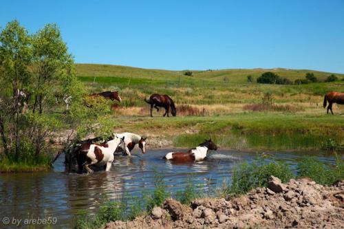 SD_2015-07-30-23-16-47_0045