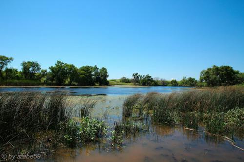 SD_2015-08-01-21-55-36_0016