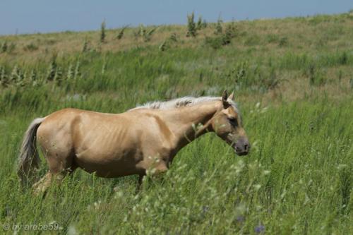 SD_2015-08-02-21-33-48_0003