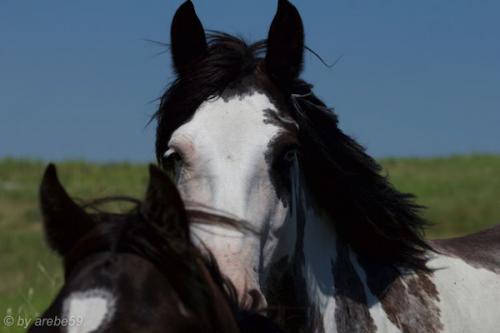 SD_2015-08-02-21-35-28_0007