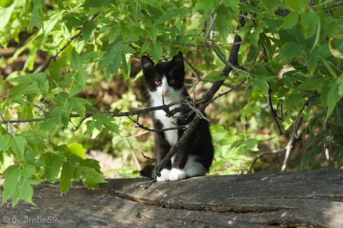 SD_2015-08-05-16-32-50_0004