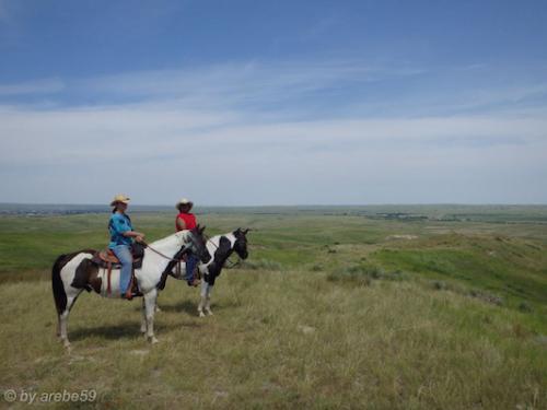 SD_2015-08-07-19-41-46_0012