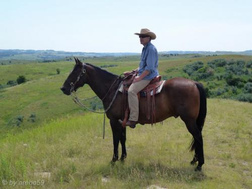 SD_2015-08-07-19-42-45_0008