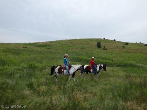 SD_2015-08-07-21-10-31_0015