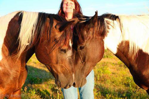 SD_2015-08-09-03-14-29_0013