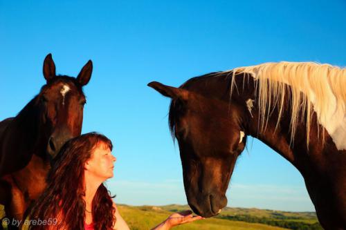 SD_2015-08-09-03-16-01_0027