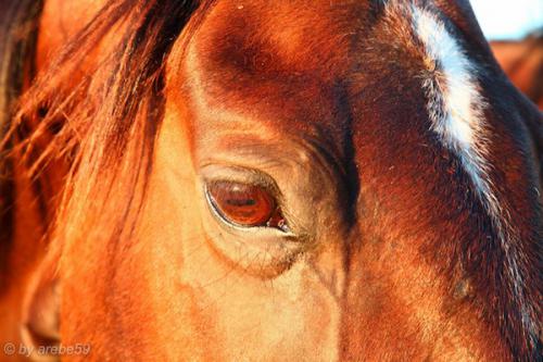 SD_2015-08-09-03-23-15_0041