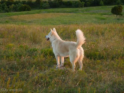 SD_2015-08-09-03-53-29_0126