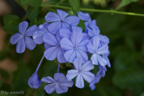 Sardinien-20151008-125633-079