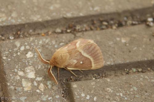 Sardinien-20151008-134336-082