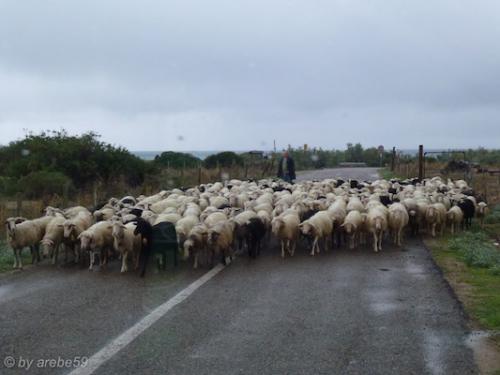 Sardinien-20151009-145845-265