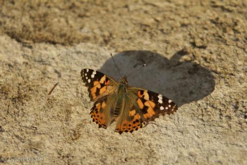 Sardinien-20151010-175259-130