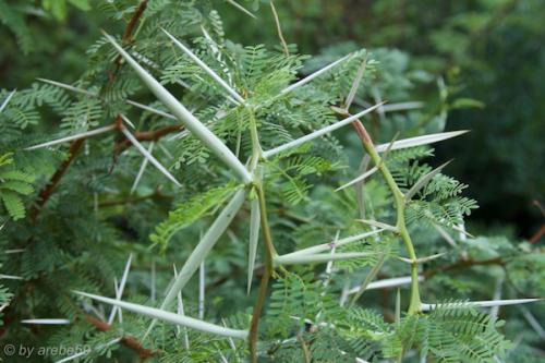 Sardinien-20151010-181918-140