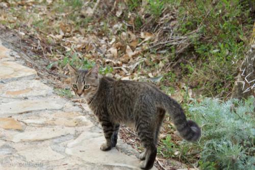 Sardinien-20151010-181939-141