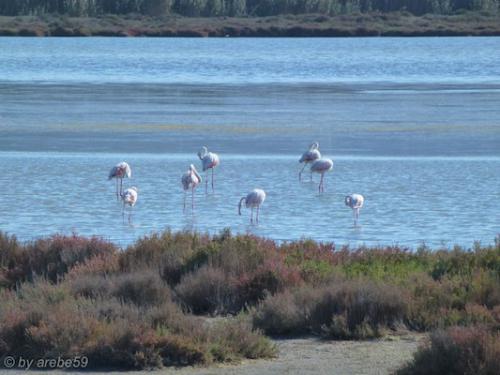 Sardinien-20151012-104020-278