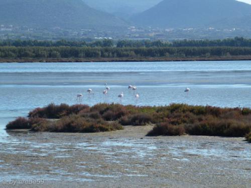 Sardinien-20151012-104036-280