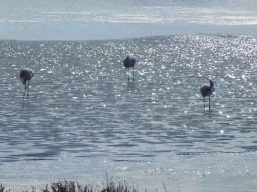 Sardinien-20151012-104107-281