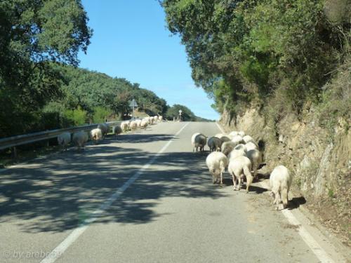 Sardinien-20151012-124740-283