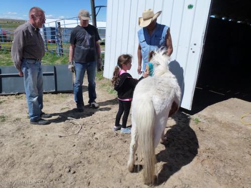 sd201601_20160424-114539-001