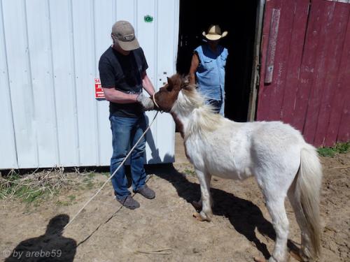 sd201601_20160424-114601-002