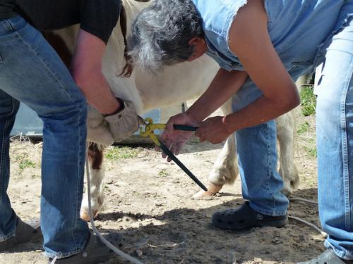 sd201601_20160424-115350-005