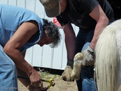 sd201601_20160424-120105-007