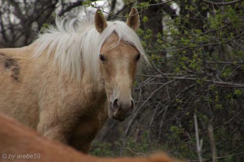 sd201601_20160425-093858-016