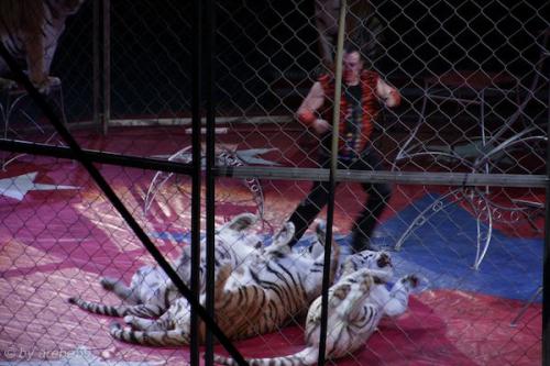 sd201601_20160429-131302-047