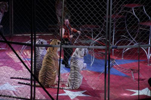 sd201601_20160429-131310-048