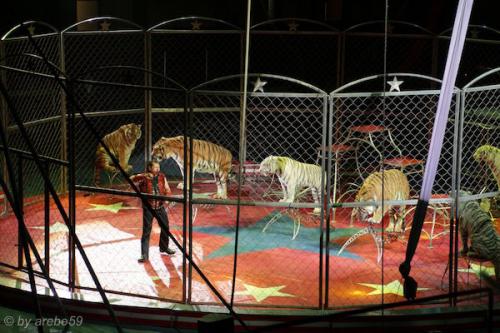 sd201601_20160429-131356-049