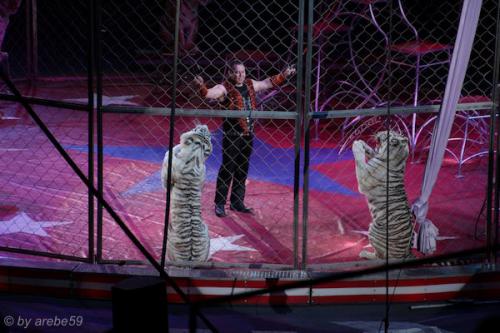 sd201601_20160429-131535-051