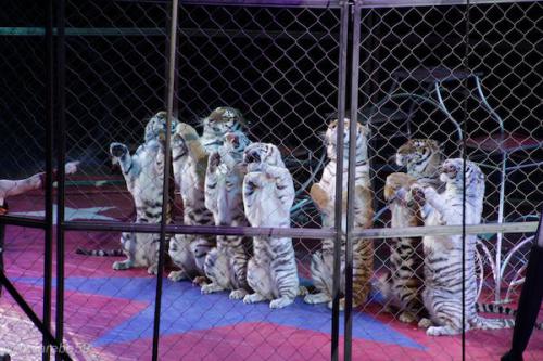 sd201601_20160429-131705-052