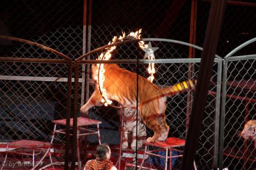 sd201601_20160429-131817-053